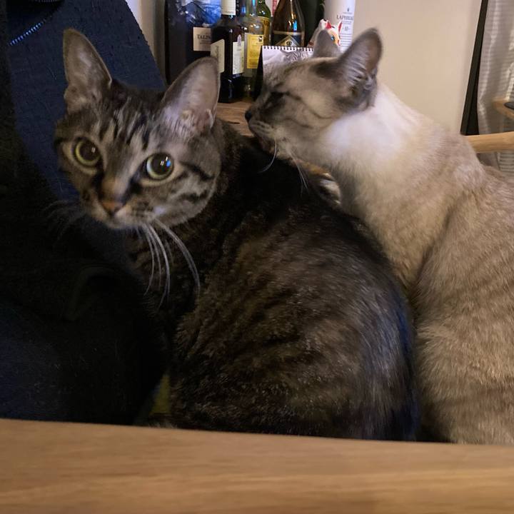 F8a4b727 03a1 4f5b b4d8 6937afc674ab 1611409487776