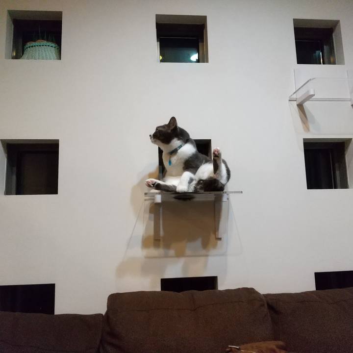 F8a4c4ab 8c90 4d4b a955 86cdf4e6c1ef 1635158677803