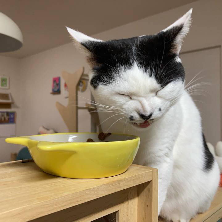 F8a4d611 60fb 4502 896d ca7b31173114 1767214117726