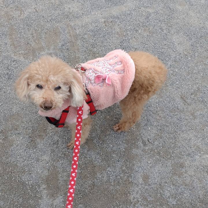 F8a4de96 c385 4c80 beba 06e54a9e52e3 1676808546121