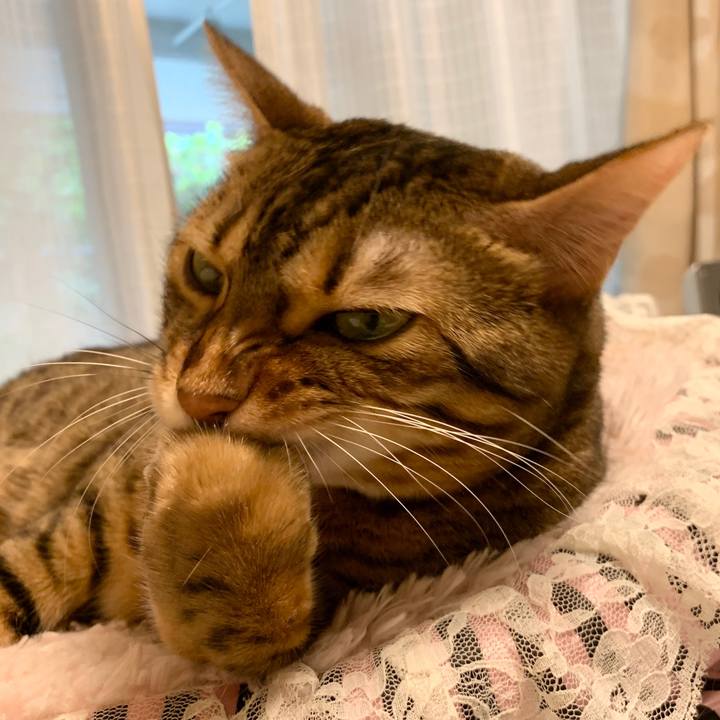 F8a4e262 d1d0 4107 bfea 0fb8e8b5bb65 1597614651189