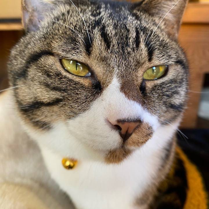 F8a4e41c 593b 489a a0ad e4ee6b56ec93 1667608621303