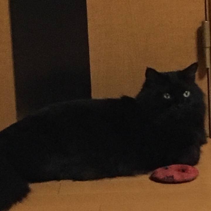 F8a4f999 1987 4cba 9d9f cfc9a32bdb91 1518005718663