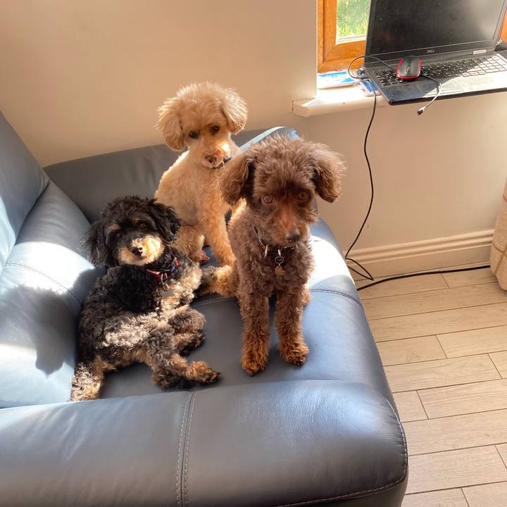 F8a4fbd0 873c 4312 9df0 b9b613dbc098 1687689244355