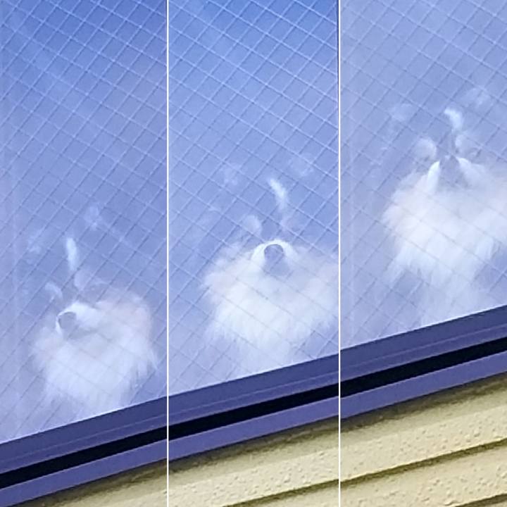 F8a5023e b8d4 453f 8ea7 6a06ff786ad5 1555629403111