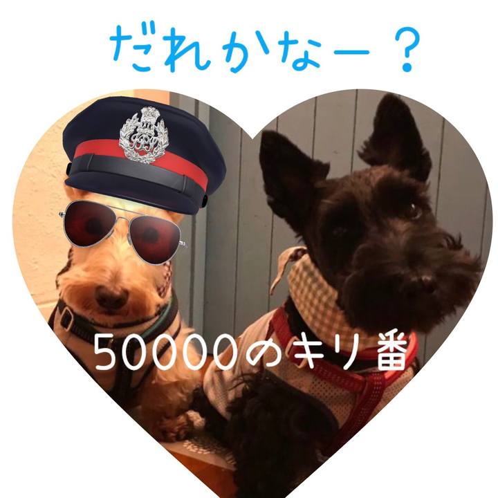 F8a511fb ecad 4df1 9d87 f1b38b51cdb9 1566650578991