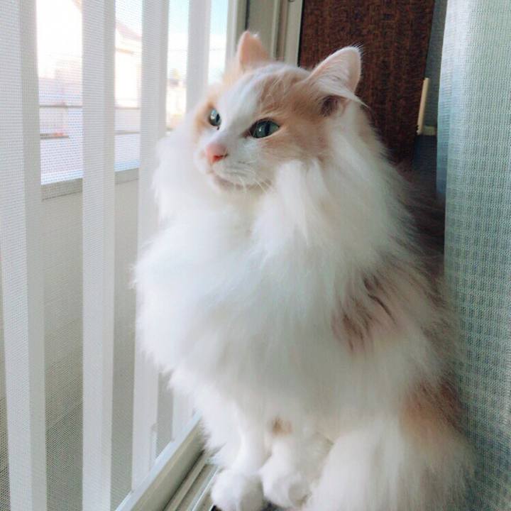 F8a52971 bfeb 4726 93e5 f66a104e3ddb 1511655652472