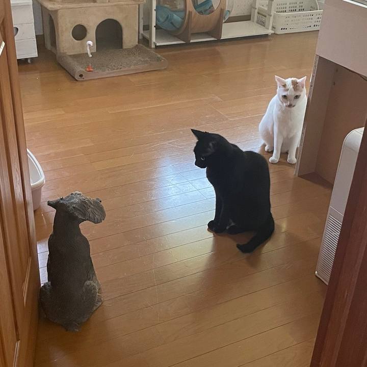 F8a53985 d1c4 4744 9d84 4aa514a0de02 1657051472189