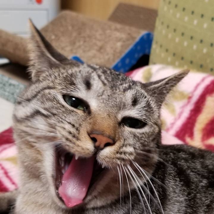 F8a53af7 e28b 43bf afd0 5e225475ccc3 1689308223480