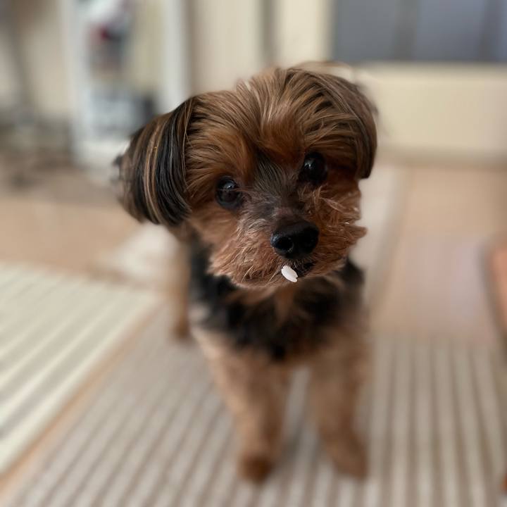 F8a54a59 b6d7 4d41 874c 7399650f8b8a 1642822095630