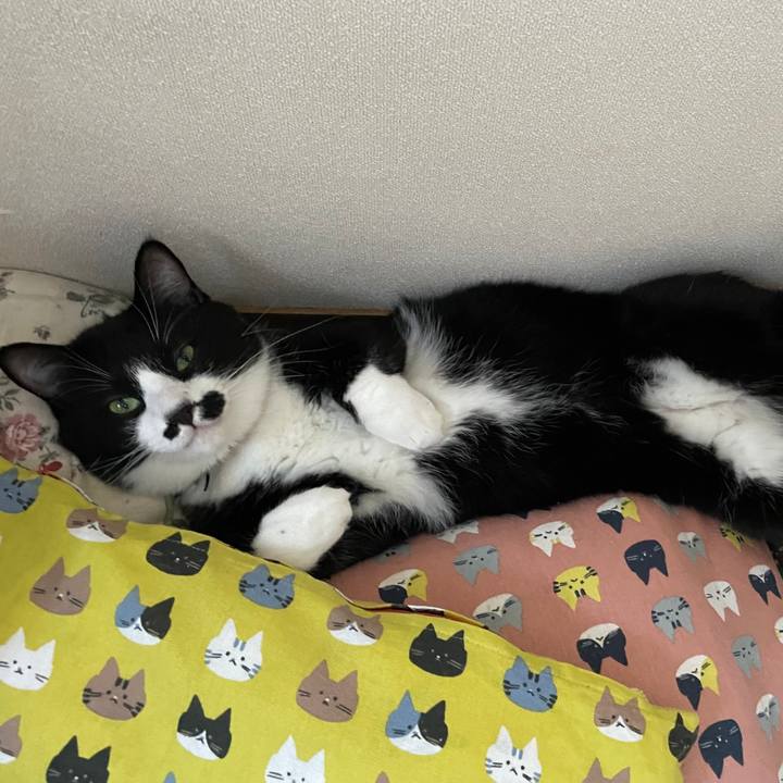 F8a559b8 7cbd 4300 9d70 1107a46bc074 1664087173763