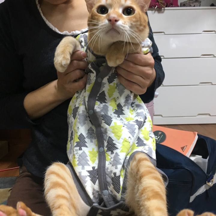 F8a57241 4b1f 4a63 938f 472ba8f88d1d 1510915562854