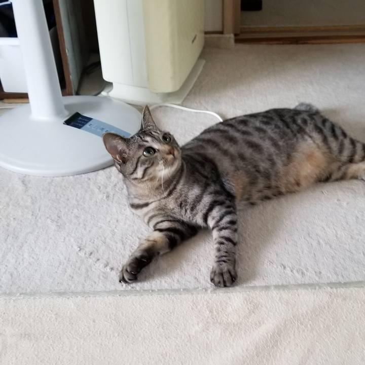 F8a588d1 28de 437b 94c7 d41922943e6c 1691241473961