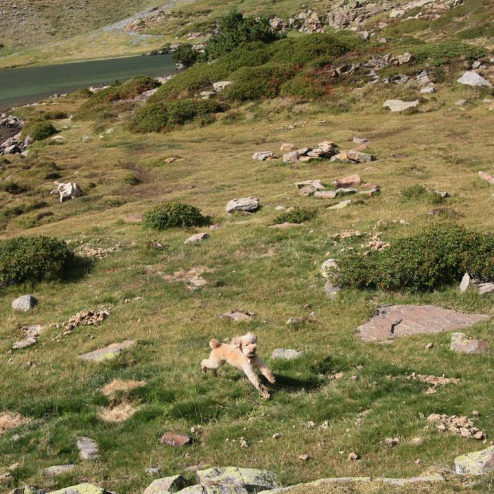 F8a58dcd 19cd 4709 ad53 02e2b5a97d2c 1537904253257