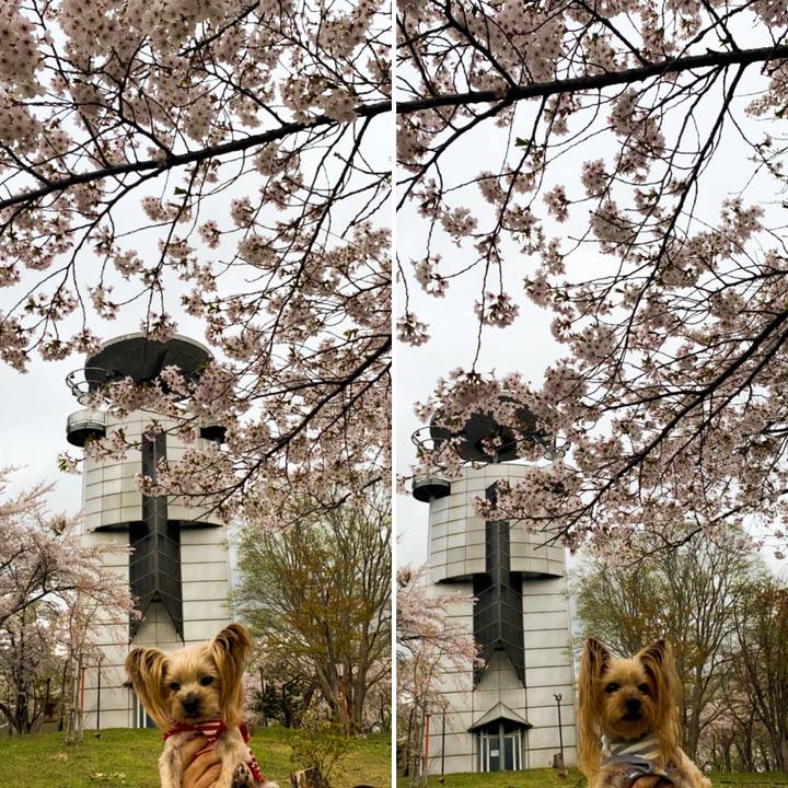 F8a605fc 2dce 4c56 8e4e 3e57d4fdff06 1620728827035