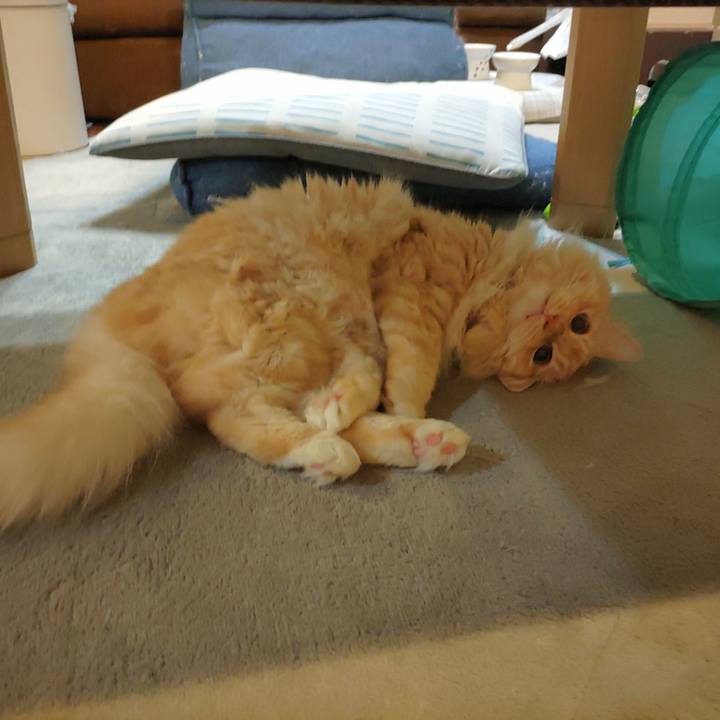 F8a6208c 460a 4f06 bc05 189043ad83aa 1686260249742