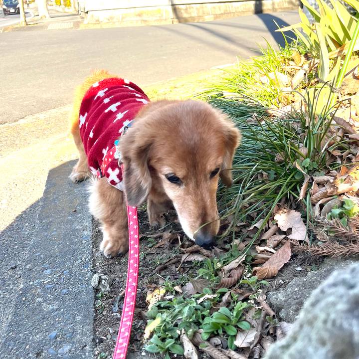 F8a62d3a 7fe2 4da2 9199 4df0d85ae0c1 1643713574494