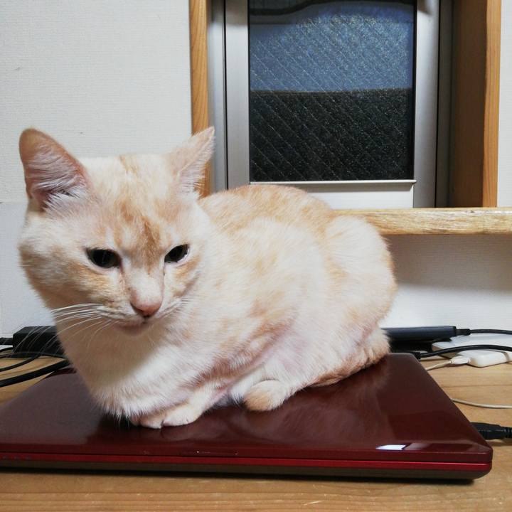 F8a63c65 45c6 44bd aeef 5300bad6dcfd 1608034242402