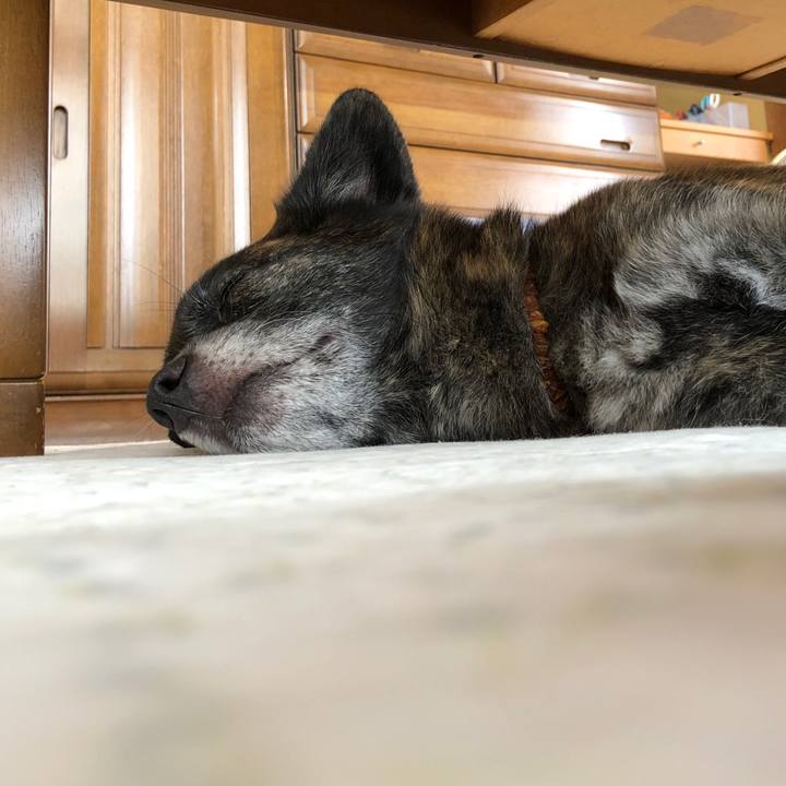 F8a6593c 7d54 4e3b 8869 42205724a560 1562560584077