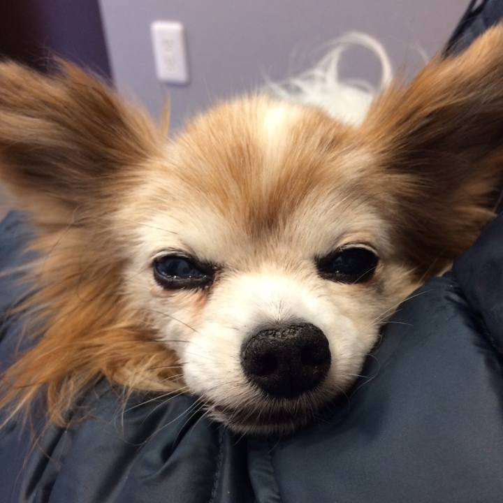 F8a680c1 8d23 481b 8140 4dc0af59bf4f 1515918515337