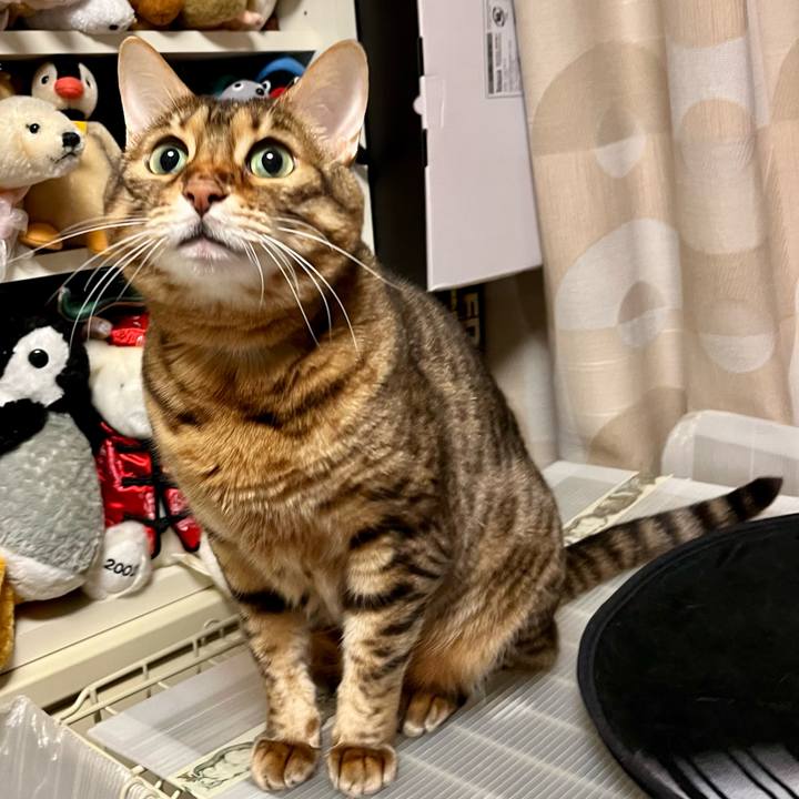 F8a68d64 28b9 4526 9c52 dc7553a11881 1649301460249