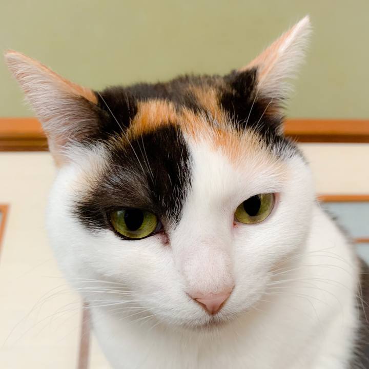 F8a69a6f 8d1b 4279 ba61 e027e7c1a2bc 1558144365564