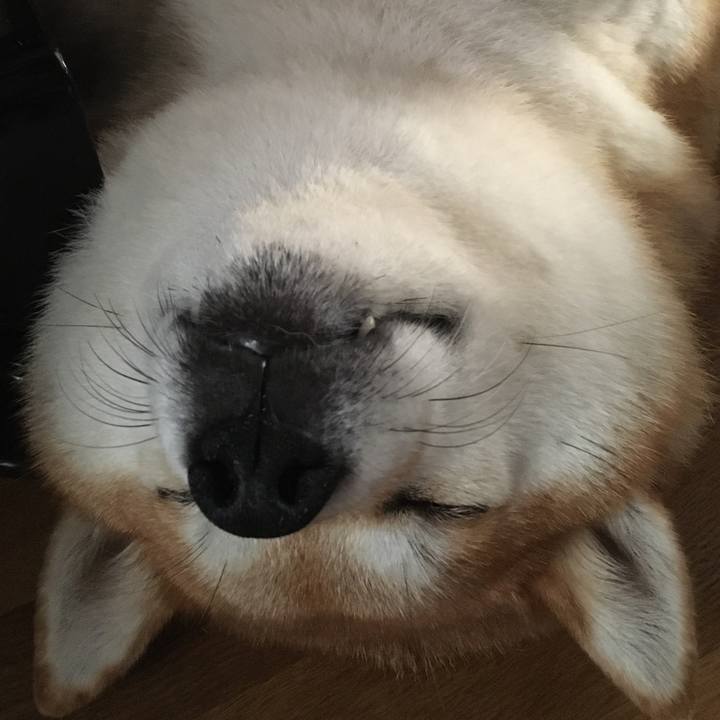 F8a69cf0 8b72 46d4 9057 c99cb43e42de 1597633048559