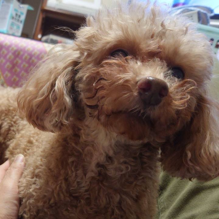 F8a6cb3d e5a8 4d6f af74 d7055b94d988 1742105581085