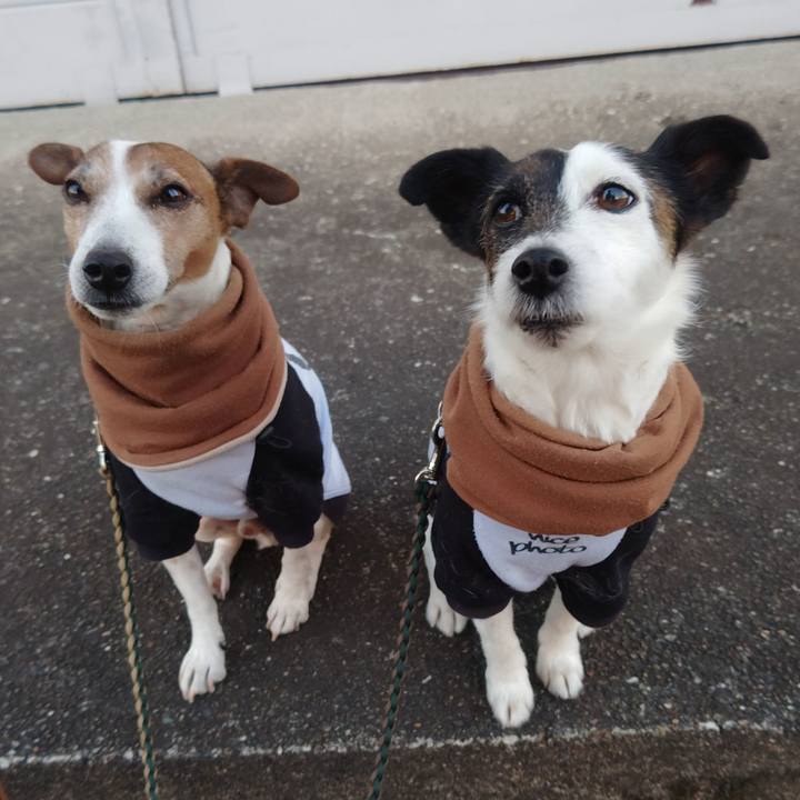 F8a7051c 8fa0 40da 8a56 bef4a69cf2f8 1769552637338