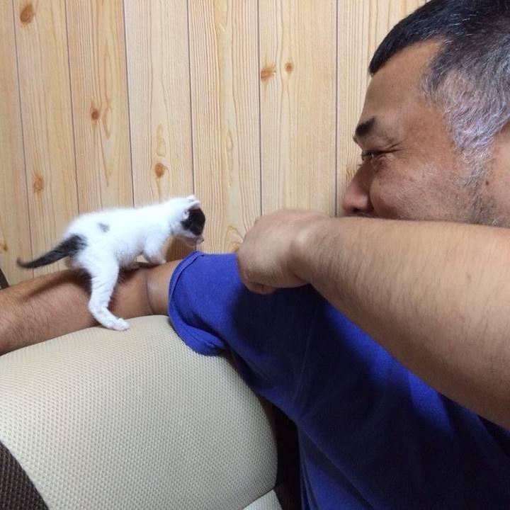 F8a715a1 b0bc 4a39 bfde 32db0ccd0bfd 1593733576285