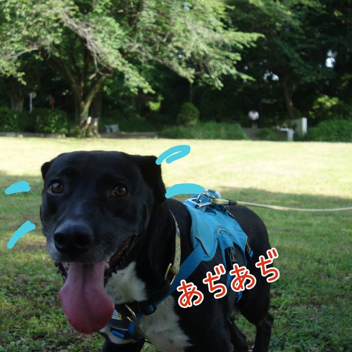 F8a73ebe 5c6a 4de1 994e 5407bcae10e7 1623371149713