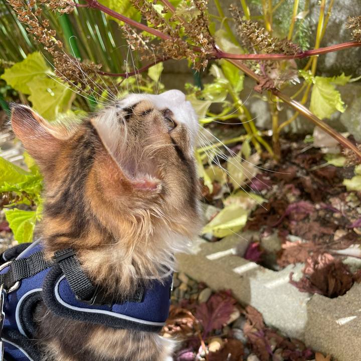 F8a74aaf 6380 46b4 927a 0ae6028b8010 1633751490000