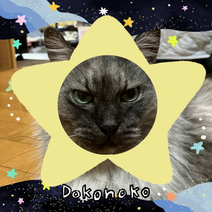 F8a76fbb 1cb5 4b6a 9656 df4af231b6a8 1720921968738