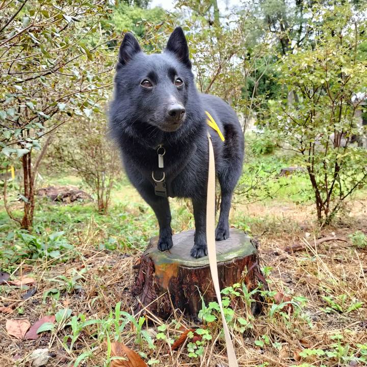 F8a79aca a8cf 437f a2d0 edd8ac5cace7 1696812119610