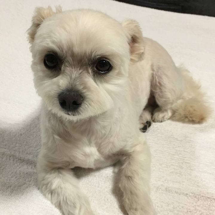 F8a79b6e 95cb 4a14 a0c1 6ecb57948a34 1559730396430