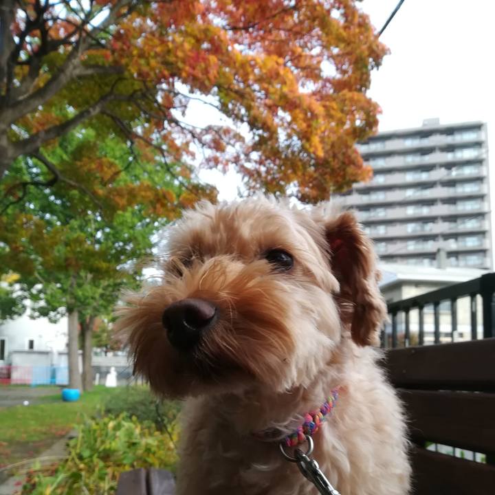 F8a80a54 dd0e 48b6 98f5 9ab4eb76b6f3 1570845275774