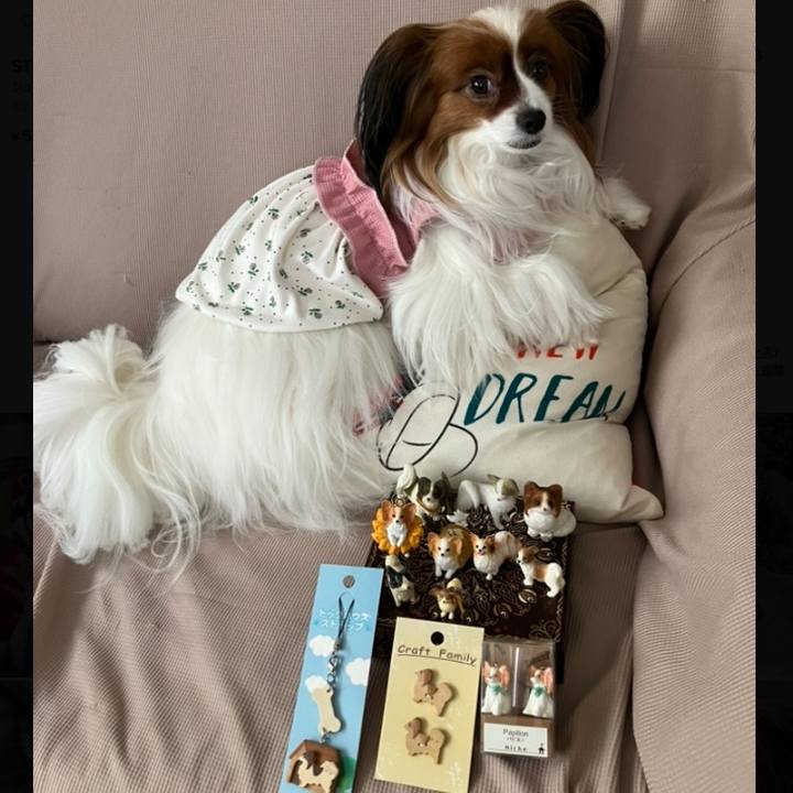 F8a8118b 58d0 4a87 8835 eea6a7a87711 1742950883983