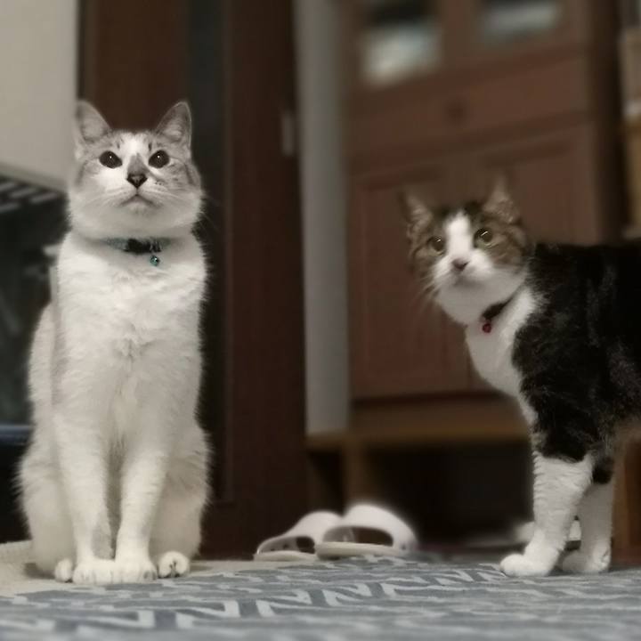 F8a84fe5 0ca9 429b 8654 23fbb25af29a 1562992363672