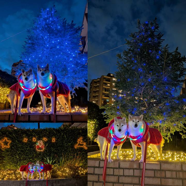 F8a856df 27f1 423e a709 89b07327f1f5 1766310595627