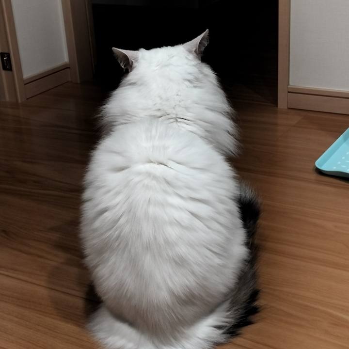 F8a85810 19d9 483c a14c 97f76097440c 1764482472899