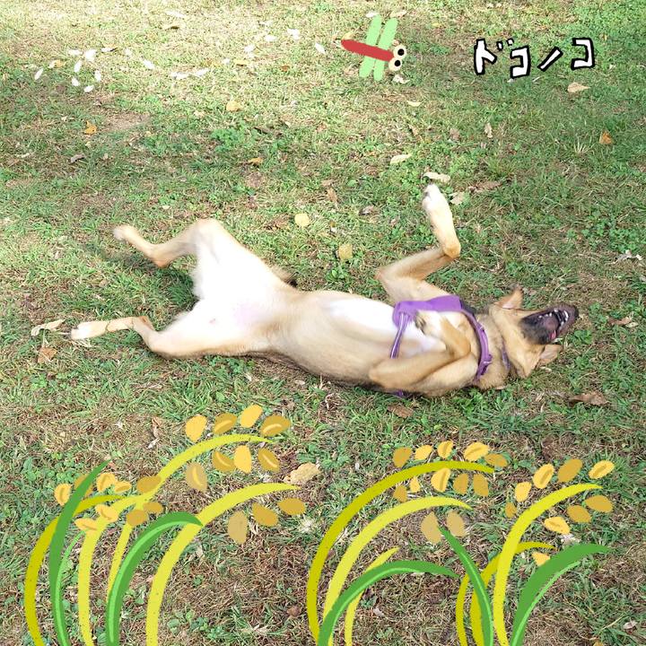 F8a85bb1 d82c 42c5 9516 1ed967ef8bb7 1761129051797