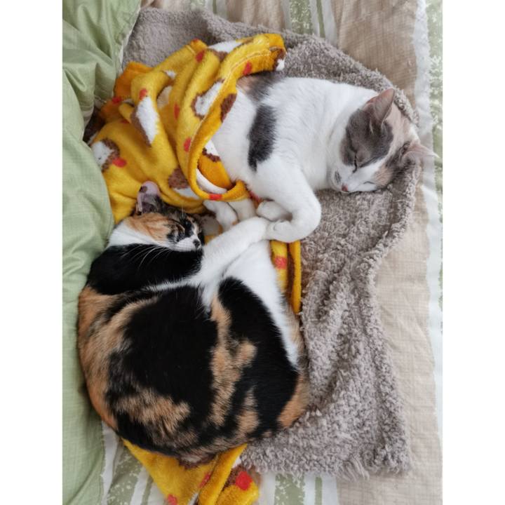 F8a870b0 8838 4420 8a85 ee3846b63477 1643529341410