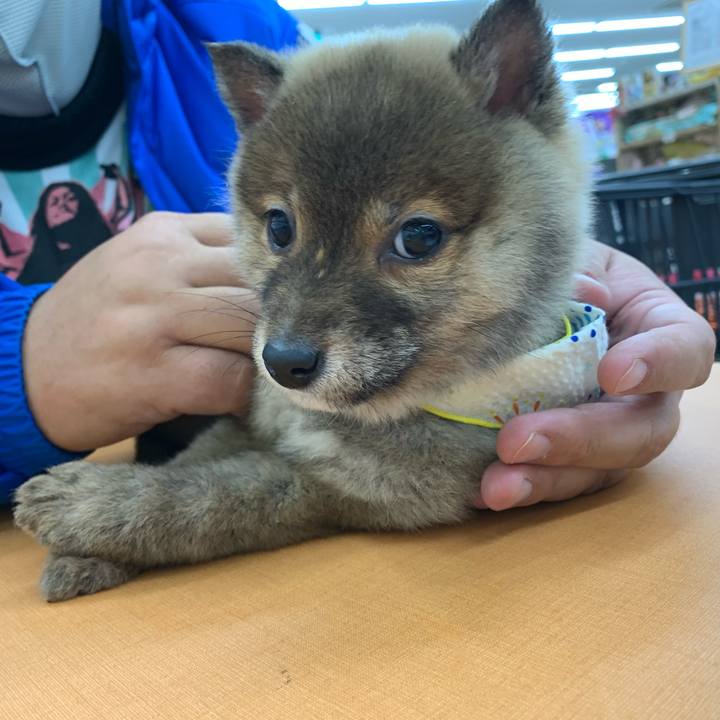 F8a8bdd1 bcfa 44fe 8d29 ca69fe05fa29 1615694984870