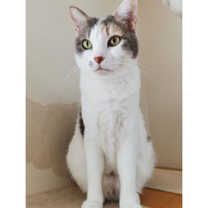 F8a8c778 2df2 451c 97d1 28fcdfe5f2de 1679544696257