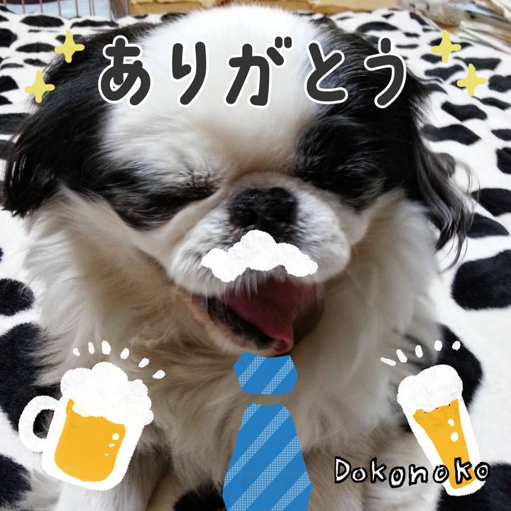 F8a8defe bedc 4b82 9840 33b08c6aaa4d 1718003291226