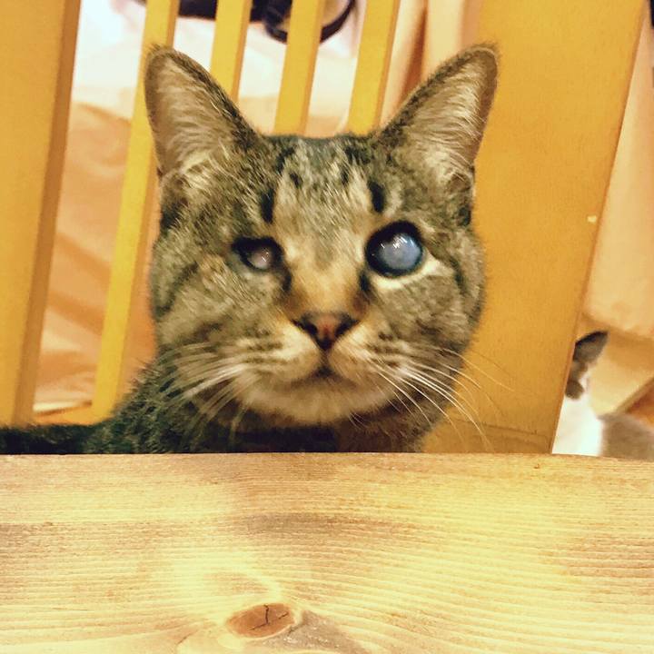 F8a8ef93 6eb6 45c6 9bfb e354c3eff8ca 1521434361490