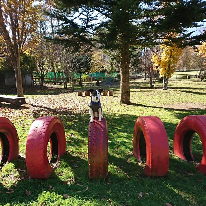 F8a9127b 8076 4d2e ad4b 50b1e26638a5 1509934206774