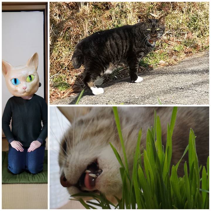 F8a917ed 56fa 4381 a062 fe8ec50c3aa6 1578751395270