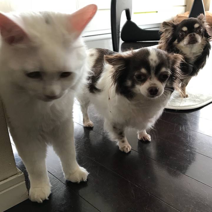 F8a92ec1 ffda 4015 9b63 b246dea436cd 1525067477756