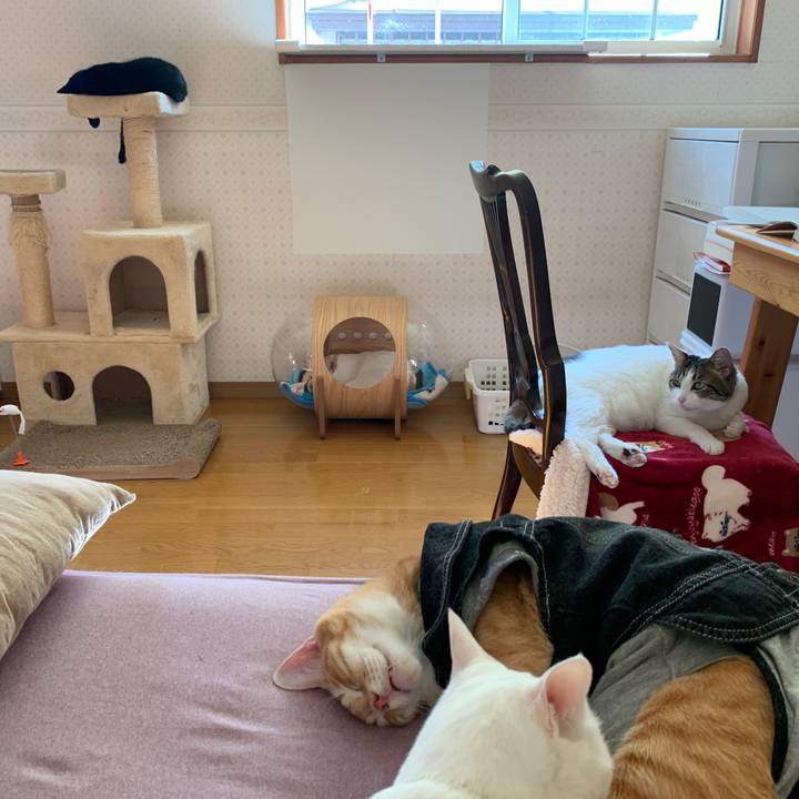 F8a948e7 22e0 4edf 9f60 9e78e6c8be3a 1651535693120